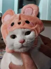 ヒョヌクの画像