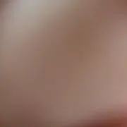 みみの画像