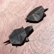 すんの画像