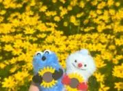 Image of ayu@プロフ必読