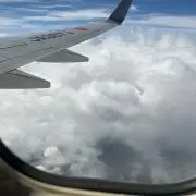 はちみー