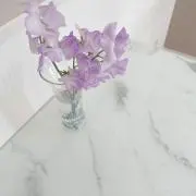 すず【即日/翌日発送！】の画像