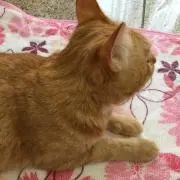 ♡モモ♡