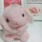 ちゃんの画像