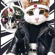 ともちんの画像