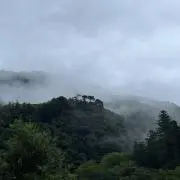 くっきー