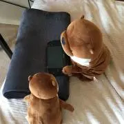 オガワの画像