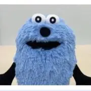 ぽむの画像