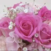 ♡まいか♡