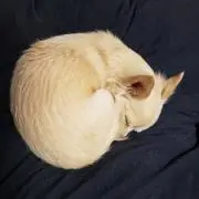 ★non★プロフ確認願います★の画像