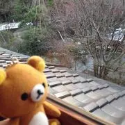 くまみつカステラの画像