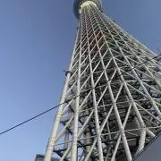 リン【即購入OK 】の画像