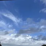 たつよっしーの画像