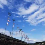 やんの画像