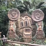 きいの画像