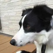 みくにい