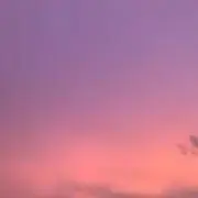 Sの画像