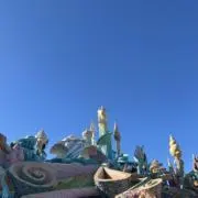 くもの画像