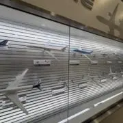 Haniの画像