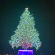 DFの画像