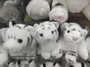 かつ