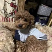 ⑥♂①♀mama