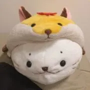 ムーン