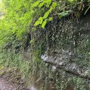 ミョウ