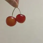 ‪cherry
