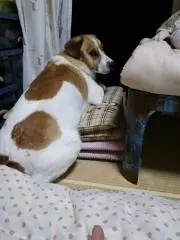 れおなの画像