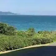 みなもの画像
