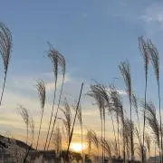 iの画像
