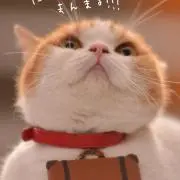 Takの画像