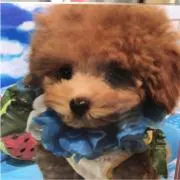 ジュディー☆プロフ見てくださいませ☆の画像
