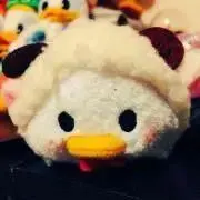 syの画像