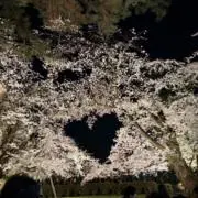 ひろ