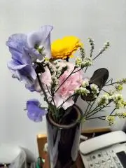 マーちゃんの画像