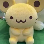 Sの画像