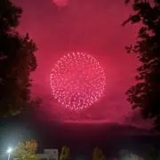 そうきのの画像