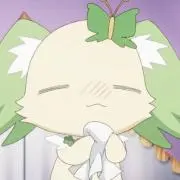 ぽむの画像