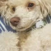 nnnnの画像