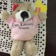 ここの画像