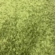 D0128の画像