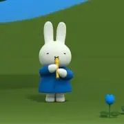 nijntjeの画像
