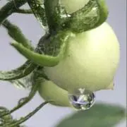 mamaの画像