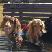 ひなもかの画像