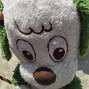 いくみんの画像