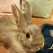 ポテポテ