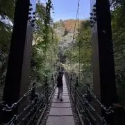 suuuの画像