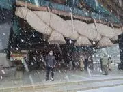 Mustsの画像